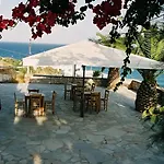 Oasis