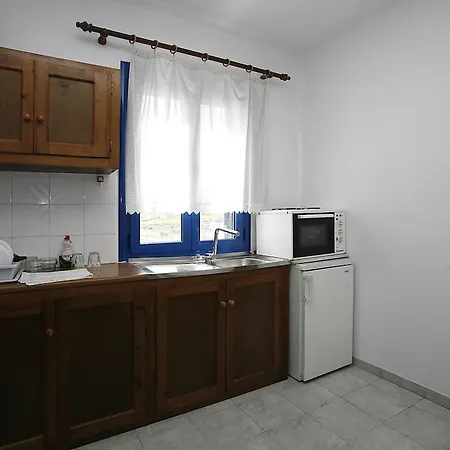 Oasis *