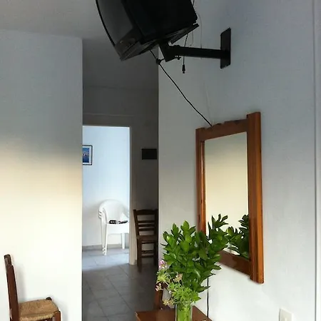 Apartment Oasis